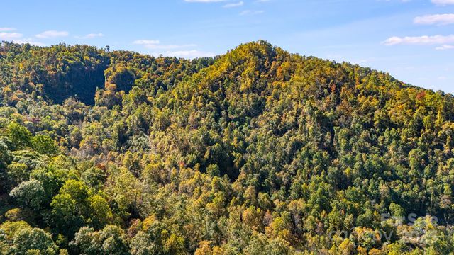 000 Hamburg Road 49, Mars Hill, NC 28754