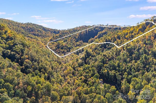 000 Hamburg Road 49, Mars Hill, NC 28754