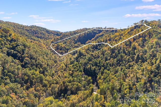 000 Hamburg Road 49, Mars Hill, NC 28754