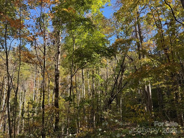 000 Hamburg Road 49, Mars Hill, NC 28754