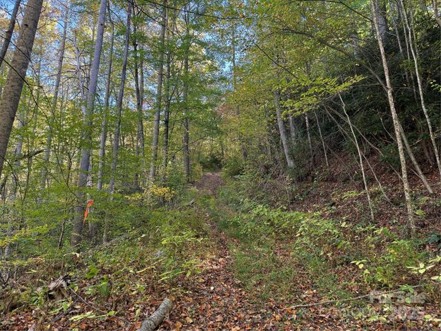 000 Hamburg Road 49, Mars Hill, NC 28754