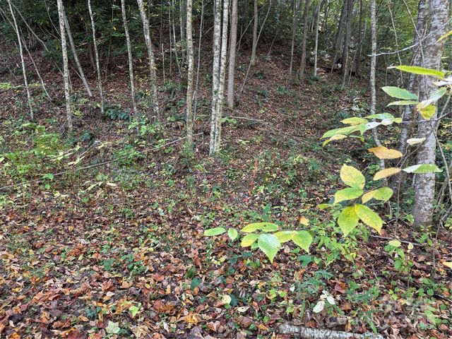 000 Hamburg Road 49, Mars Hill, NC 28754