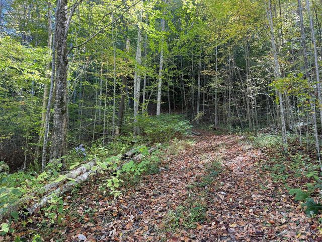 000 Hamburg Road 49, Mars Hill, NC 28754