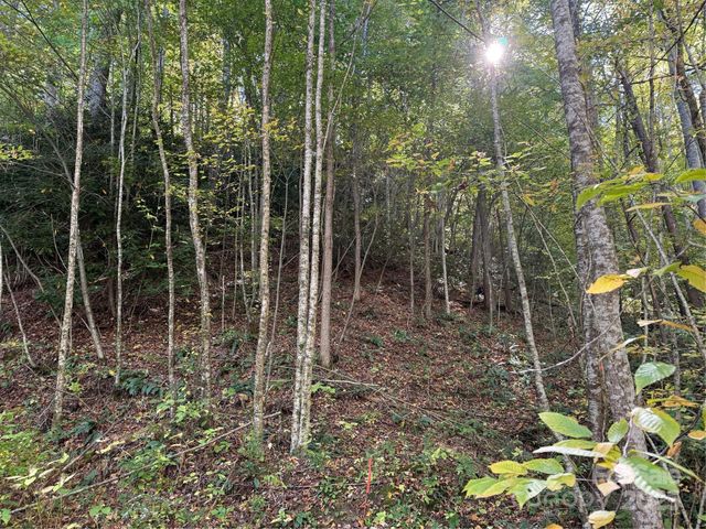 000 Hamburg Road 49, Mars Hill, NC 28754