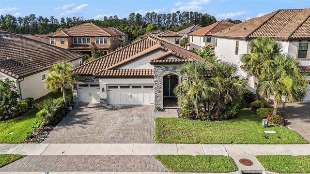 21698 AMELIA ROSE WAY WAY, Land O Lakes, FL 34637