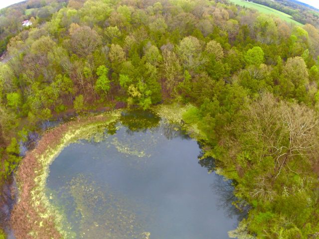 0 Hwy 64 Arnold Rd, E, Wartrace, TN 37183