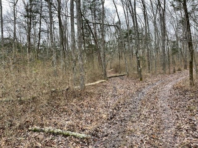 0 Hwy 64 Arnold Rd, E, Wartrace, TN 37183