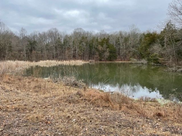 0 Hwy 64 Arnold Rd, E, Wartrace, TN 37183