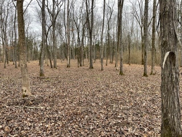 0 Hwy 64 Arnold Rd, E, Wartrace, TN 37183