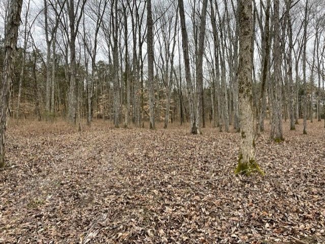 0 Hwy 64 Arnold Rd, E, Wartrace, TN 37183