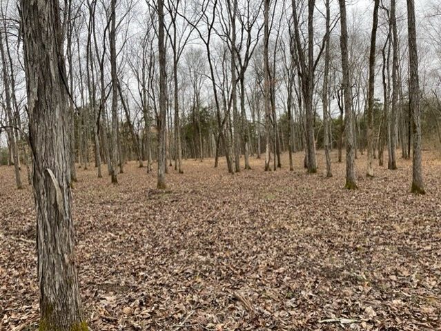 0 Hwy 64 Arnold Rd, E, Wartrace, TN 37183