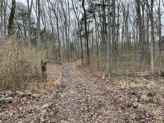 0 Hwy 64 Arnold Rd, E, Wartrace, TN 37183