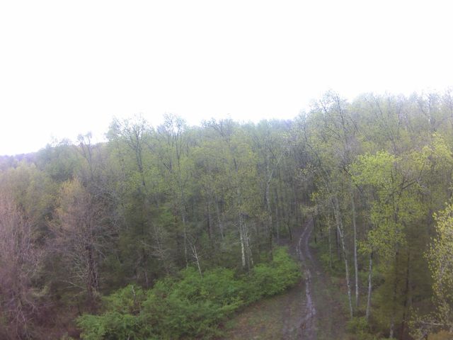 0 Hwy 64 Arnold Rd, E, Wartrace, TN 37183