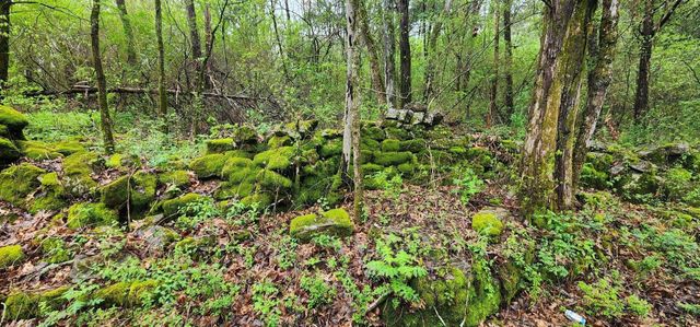 0 Hwy 64 Arnold Rd, E, Wartrace, TN 37183