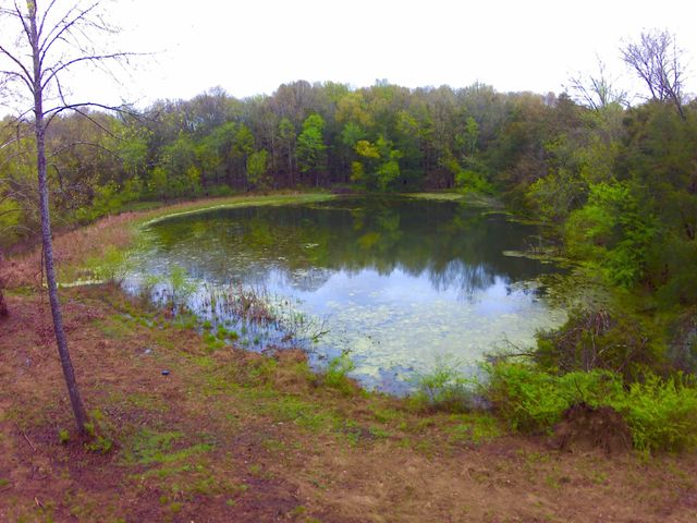 0 Hwy 64 Arnold Rd, E, Wartrace, TN 37183