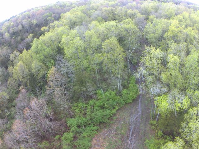 0 Hwy 64 Arnold Rd, E, Wartrace, TN 37183