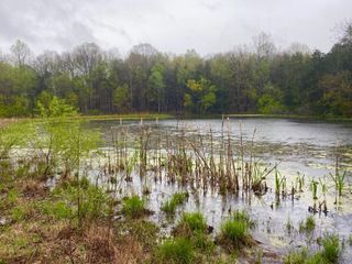 0 Hwy 64 Arnold Rd, E, Wartrace, TN 37183