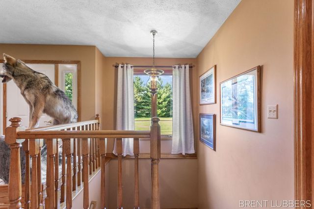 9774 68th Avenue, Allendale Twp, MI 49401