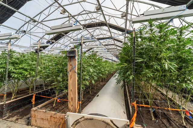 3715 Little Applegate Road, Jacksonville, OR 97530