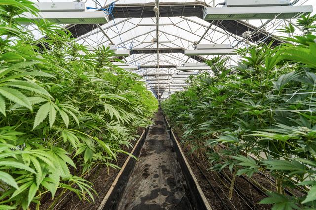 3715 Little Applegate Road, Jacksonville, OR 97530