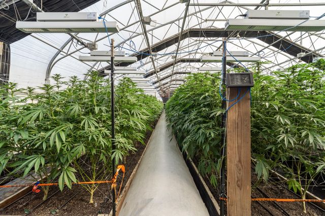 3715 Little Applegate Road, Jacksonville, OR 97530