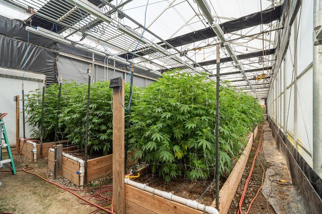 3715 Little Applegate Road, Jacksonville, OR 97530