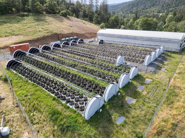 3715 Little Applegate Road, Jacksonville, OR 97530