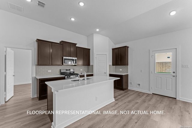 17516 Bigtooth Aspen Drive, Elmendorf, TX 78112