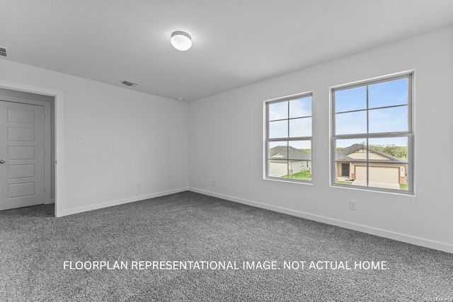 17516 Bigtooth Aspen Drive, Elmendorf, TX 78112