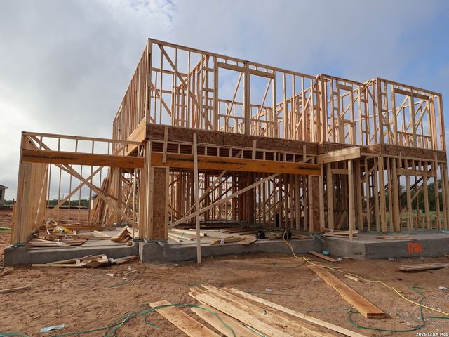 17516 Bigtooth Aspen Drive, Elmendorf, TX 78112