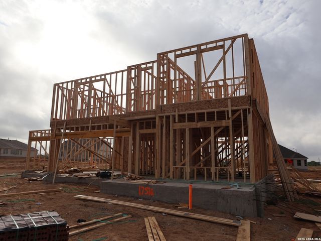 17516 Bigtooth Aspen Drive, Elmendorf, TX 78112