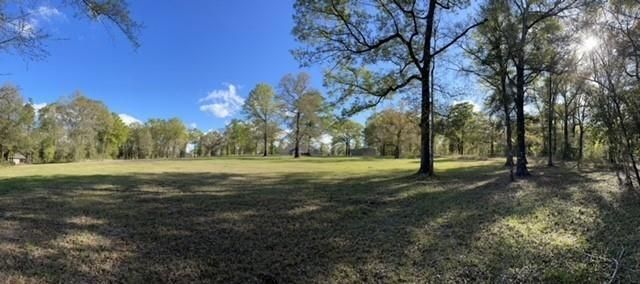 4370 Grand Bay-Wilmer S Road, Mobile, AL 36695