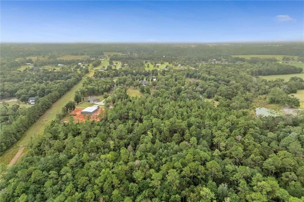 4370 Grand Bay-Wilmer Road S, Mobile, AL 36695 — photo 5