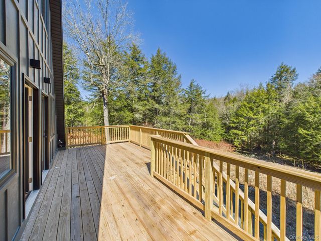 343 Dahlia Road, Livingston Manor, NY 12758