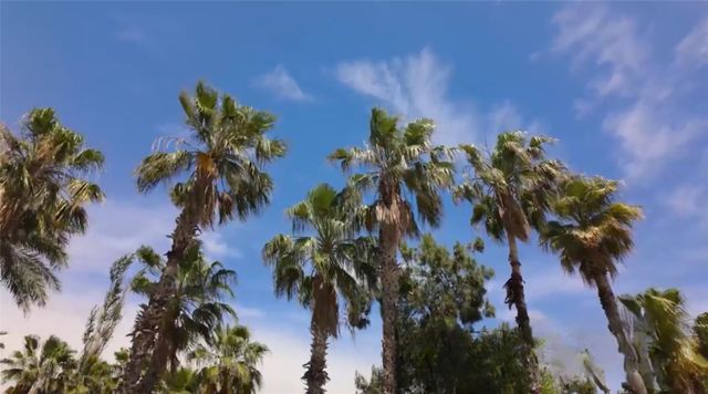 13719 Mutiny Lane, Galveston, TX 77554