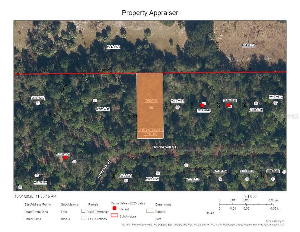 120 COLDBROOK STREET, Georgetown, FL 32139