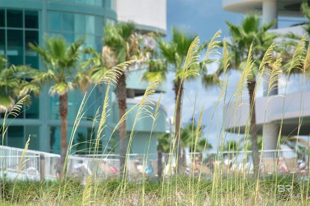 26350 Perdido Beach Boulevard C2402, Orange Beach, AL 36561