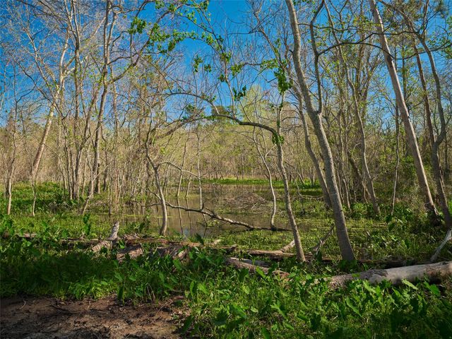 16302 Old Coach Road, Stagecoach, TX 77355