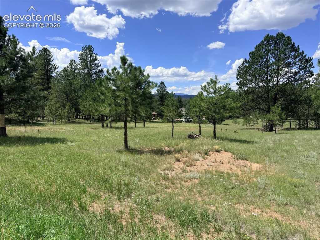 189 Rhyolite Lane, Florissant, CO 80816 — exterior
