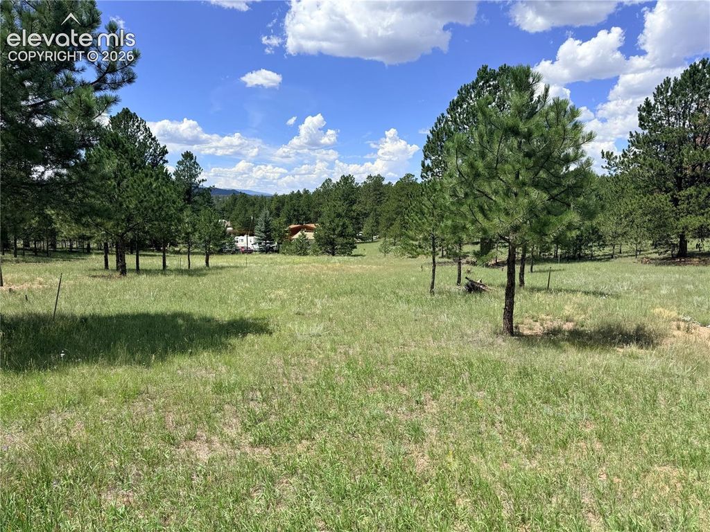 189 Rhyolite Lane, Florissant, CO 80816 — photo 2