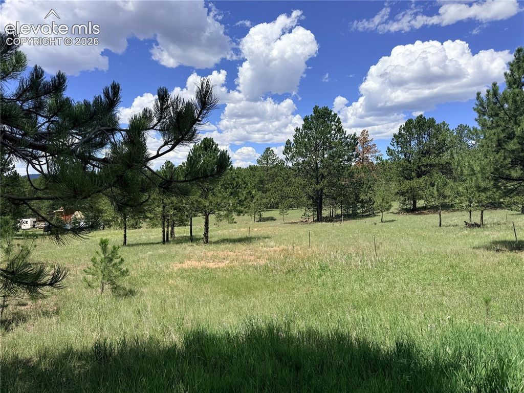 189 Rhyolite Lane, Florissant, CO 80816 — photo 3