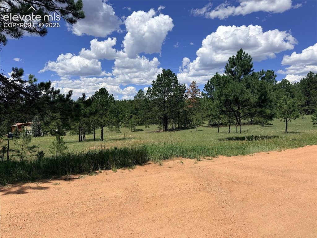 189 Rhyolite Lane, Florissant, CO 80816 — photo 4