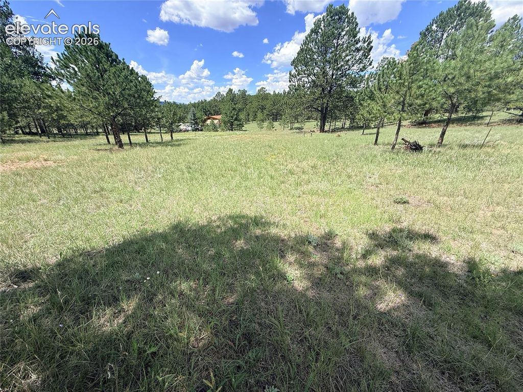 189 Rhyolite Lane, Florissant, CO 80816 — photo 5