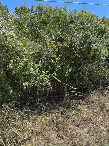 TBD Pine Hill Loop LOOP, Bastrop, TX 78602