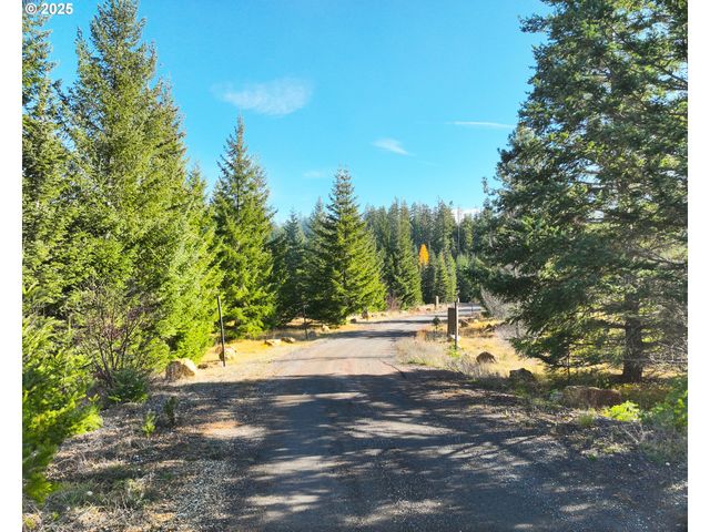 267 USFS 86 Rd, Trout Lake, WA 98650