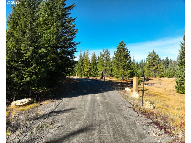 267 USFS 86 Rd, Trout Lake, WA 98650