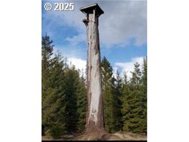 267 USFS 86 Rd, Trout Lake, WA 98650