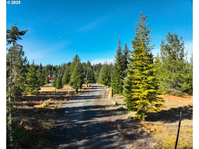 267 USFS 86 Rd, Trout Lake, WA 98650