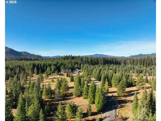 267 USFS 86 Rd, Trout Lake, WA 98650