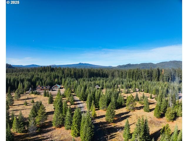 267 USFS 86 Rd, Trout Lake, WA 98650